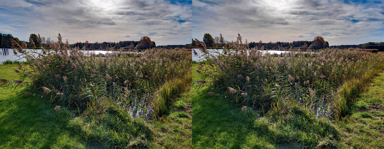 der Mönningsee (3D  X-view stereo cha-cha Handyfoto))