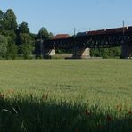 Der Mohn und die Silberfische