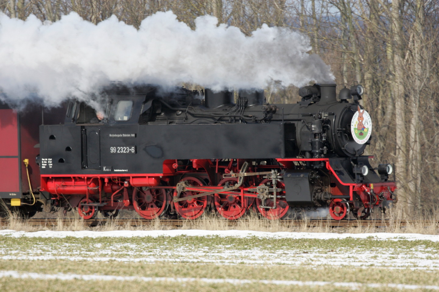 der Molli 99 2323 hinter Kühlungsborn zum Dritten