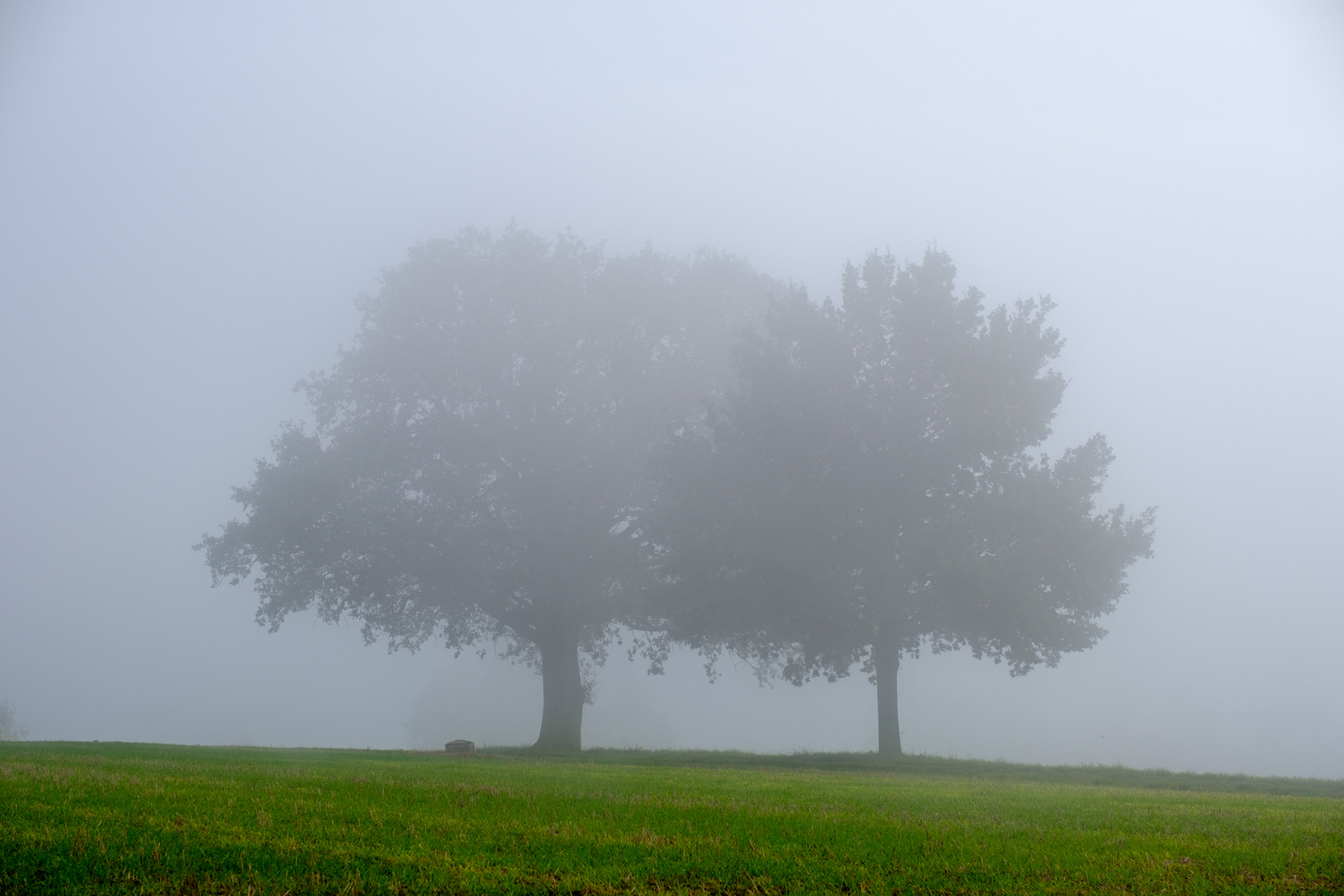 Der Monat heißt November