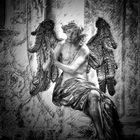 Der Monat November....