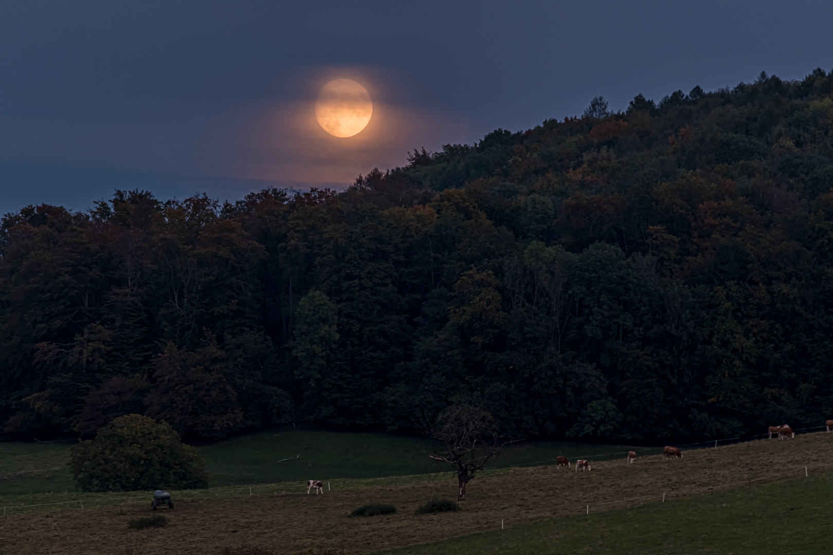 Der Mond