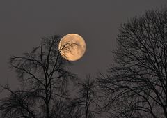 Der Mond.....