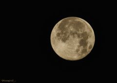 der Mond am 11.08.14 früh um 4.33 Uhr