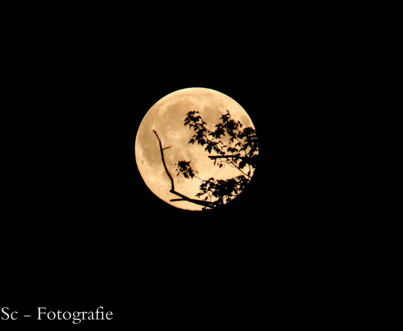 Der Mond am 13.06.2014 (: