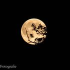 Der Mond am 13.06.2014 (: