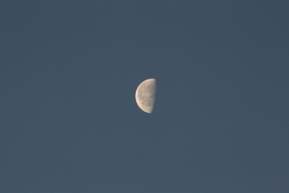 Der Mond am 17.12.2011 morgens um 8:43Uhr..