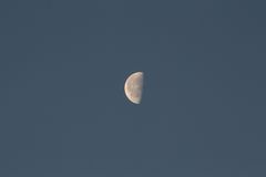 Der Mond am 17.12.2011 morgens um 8:43Uhr..