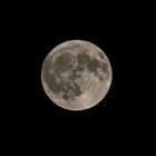 Der Mond am 4.6.23 um 00:15 Uhr