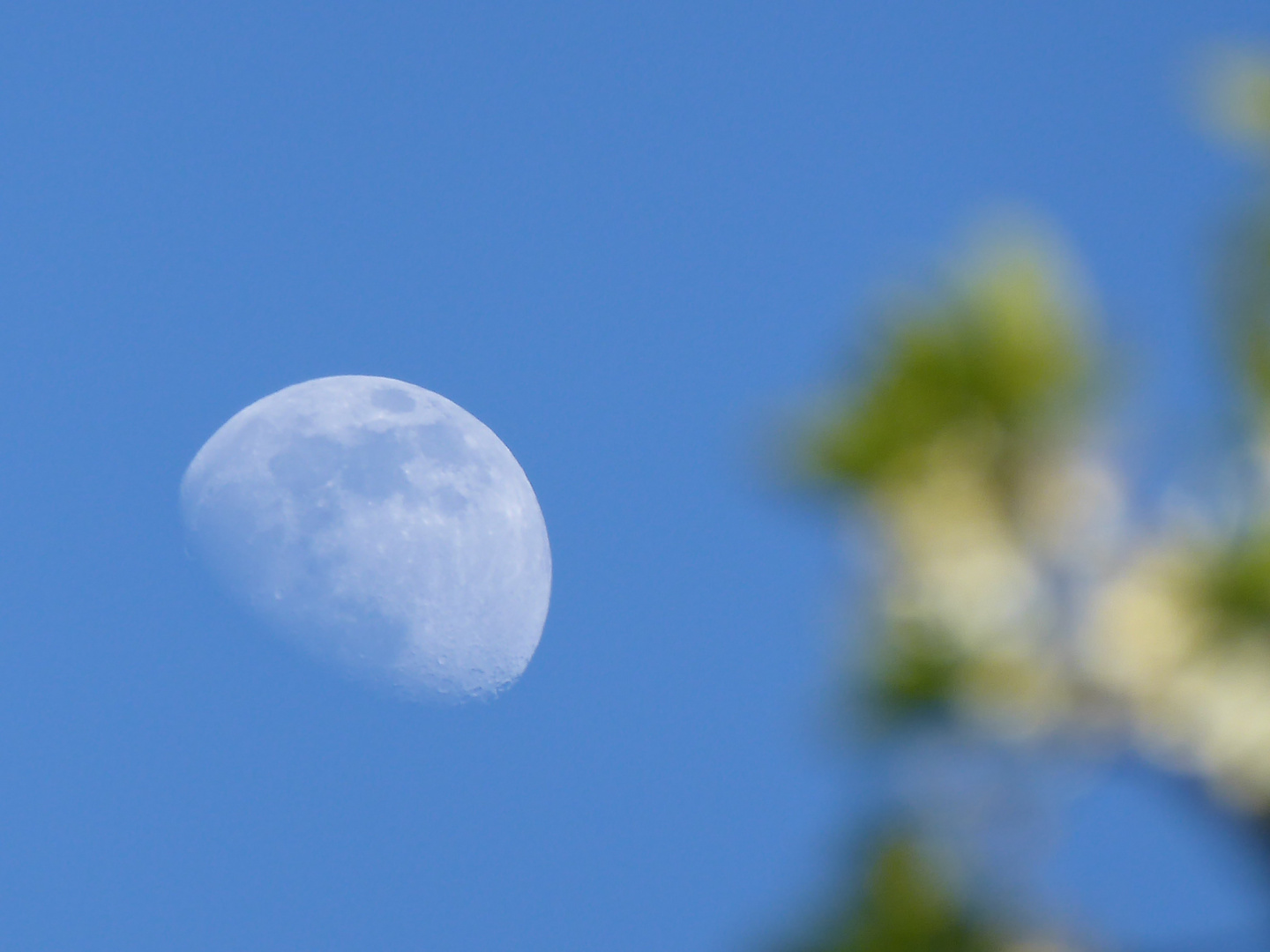 Der Mond am blauen Himmel
