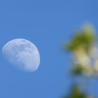 Der Mond am blauen Himmel