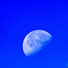 Der Mond am Morgenhimmel