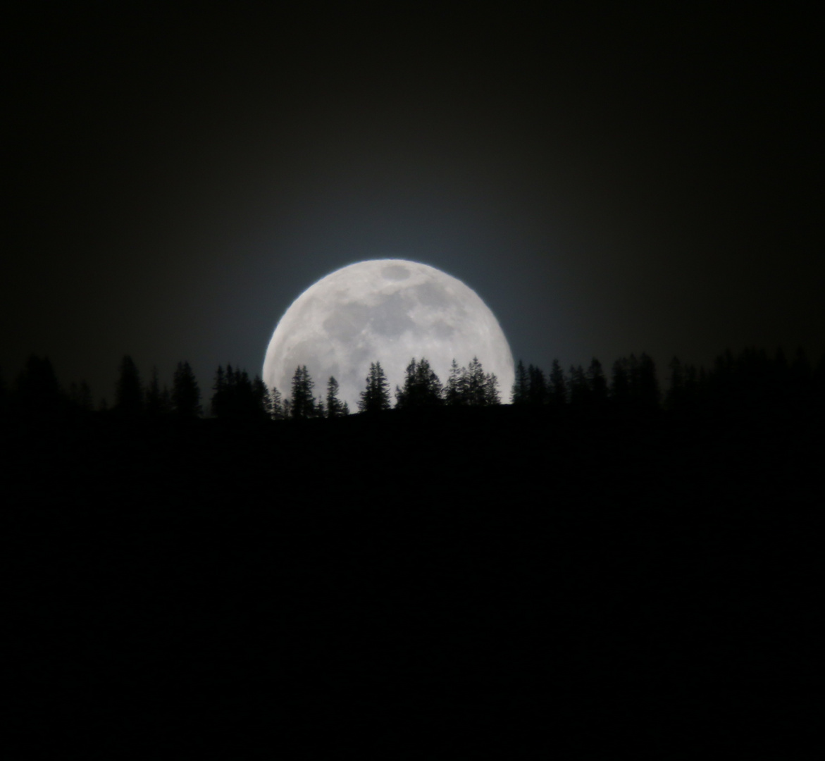 Der Mond am Sägezahn