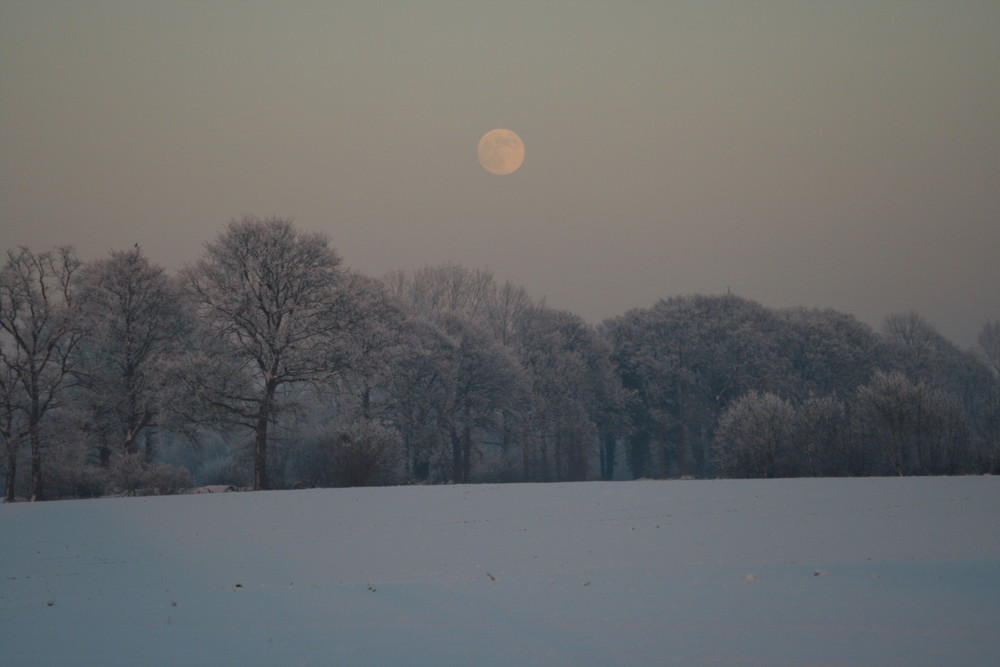 Der Mond am Tag .