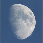 Der Mond am Taghimmel des 7. Mai 2006
