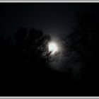 Der Mond bei Nebel