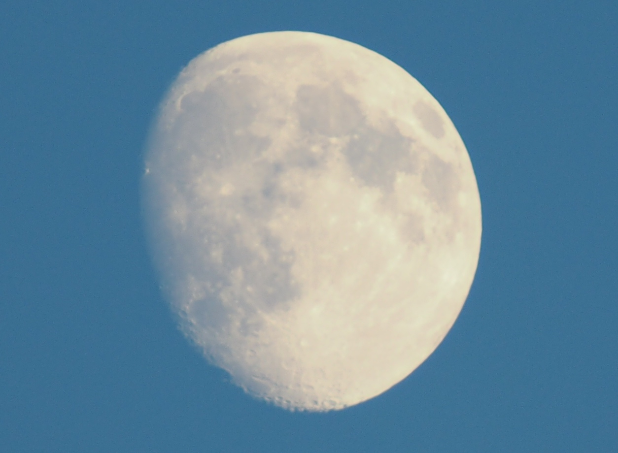 Der Mond bei Tage aufgenommen