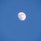 Der Mond - beliebtes gedankliches Ausflugsziel für "momentan unbeliebte Leute"