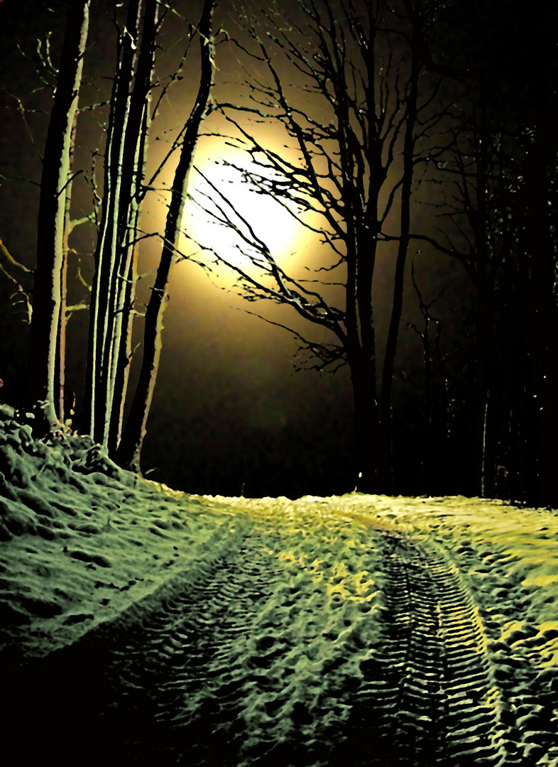 Der Mond, der Weg, der Winter