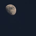 der Mond