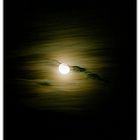 Der Mond