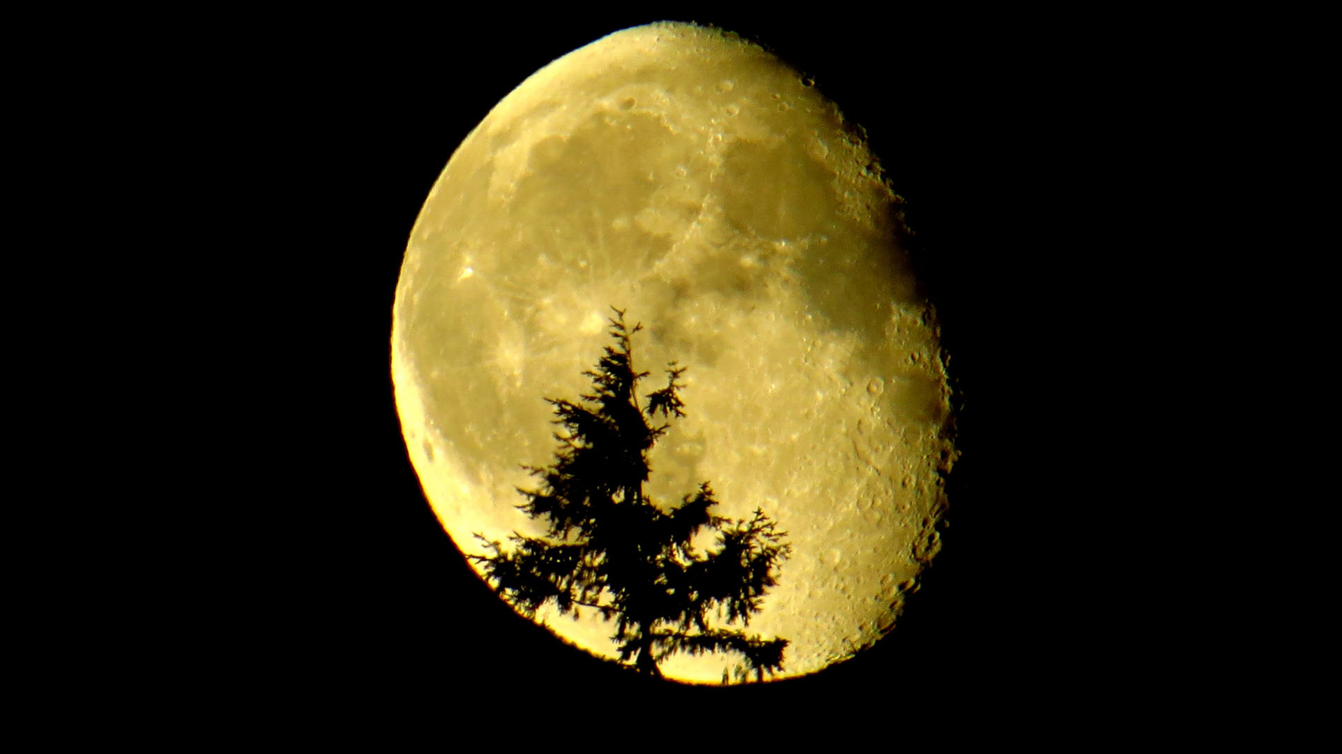 der Mond geht auf...