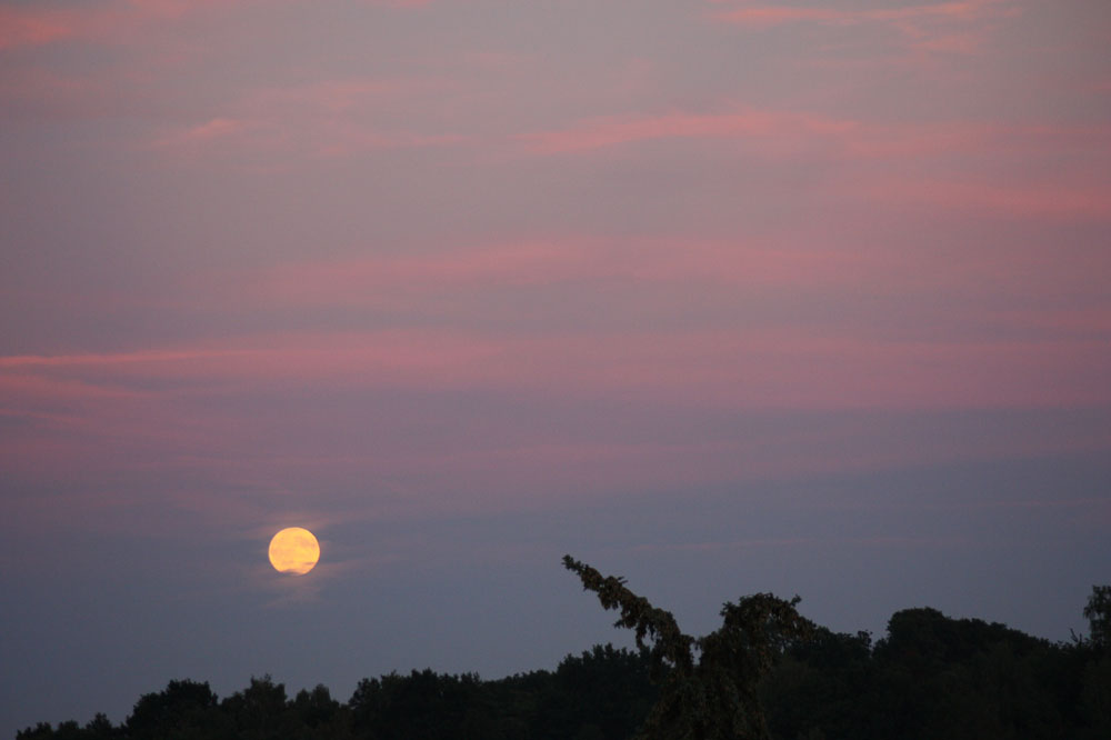 der Mond geht auf