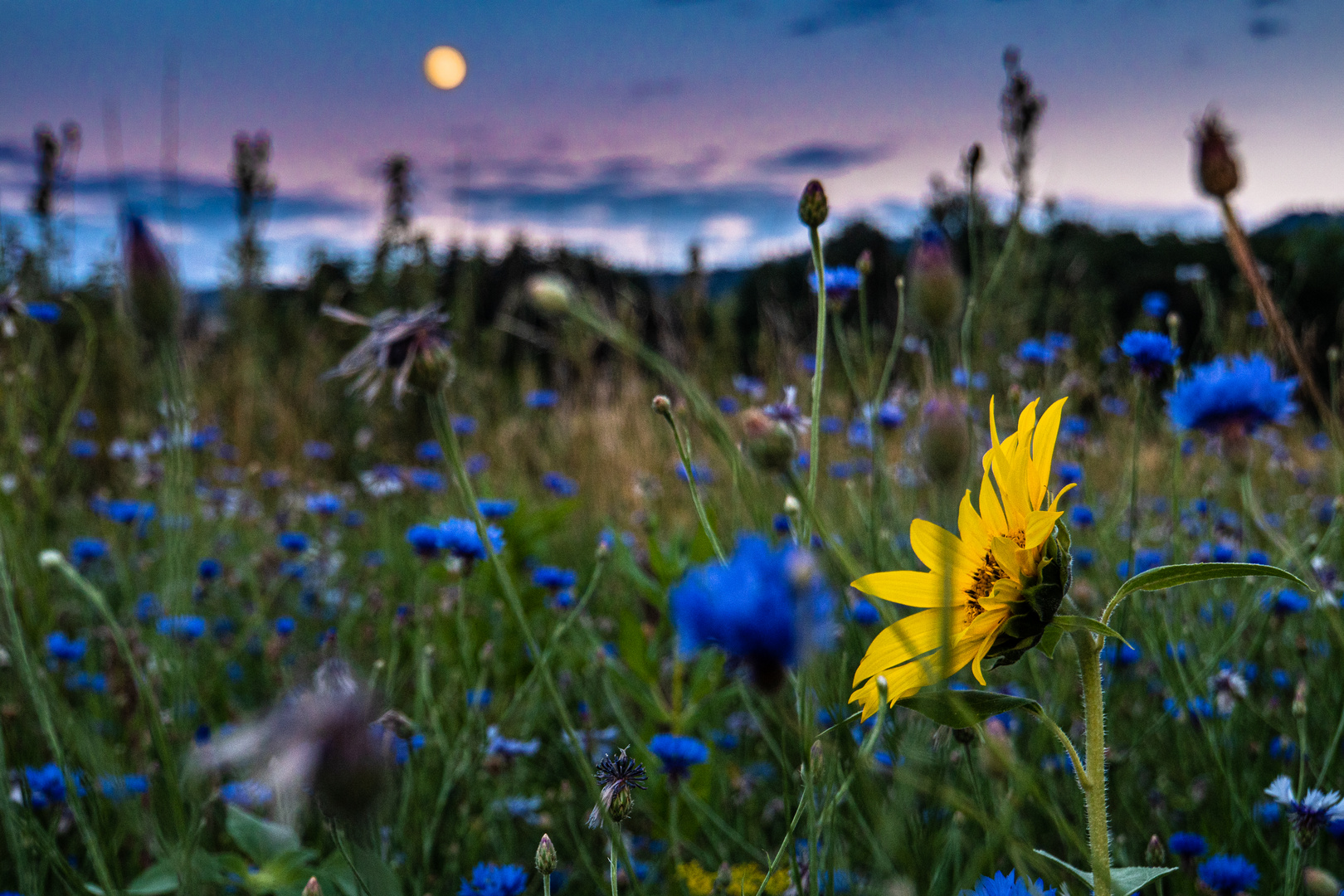 Der Mond geht auf, die Sonne unter