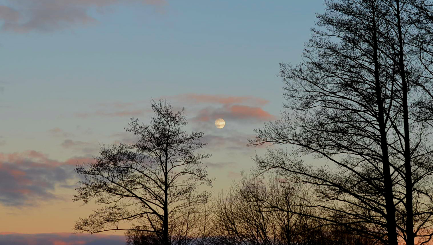 der Mond geht auf..