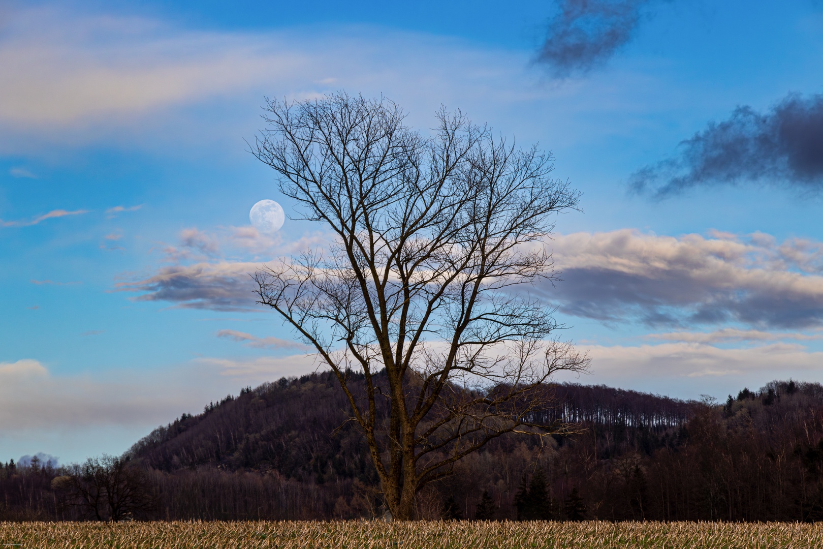 Der Mond geht auf...