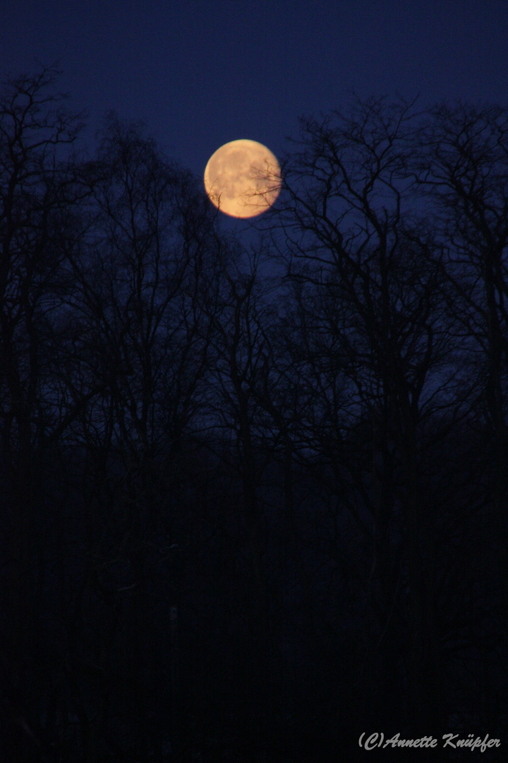 Der Mond geht unter 21.03.2011