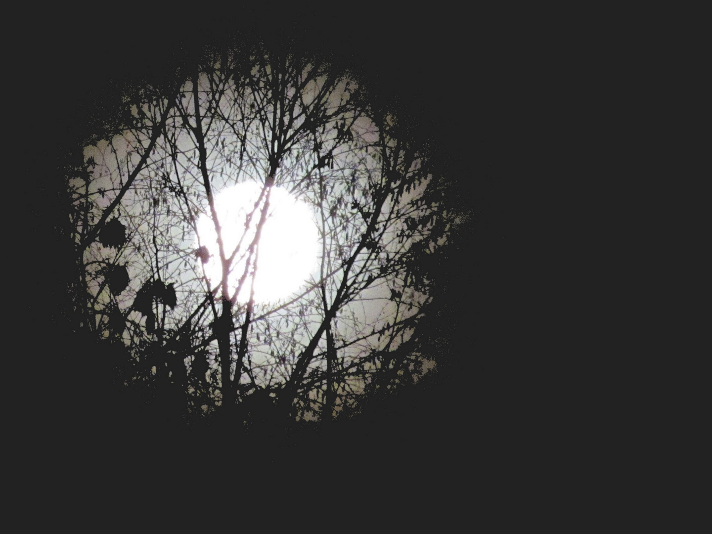 der Mond  gestern