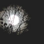 der Mond  gestern