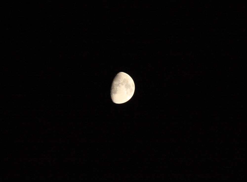 der Mond gestern abend