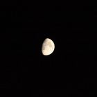 der Mond gestern abend