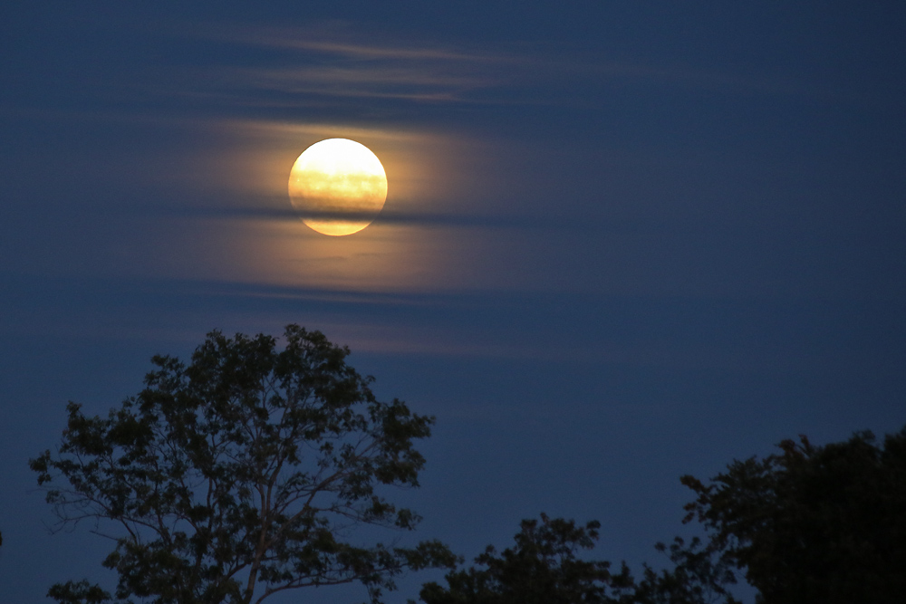 der Mond hält seine Wacht.....