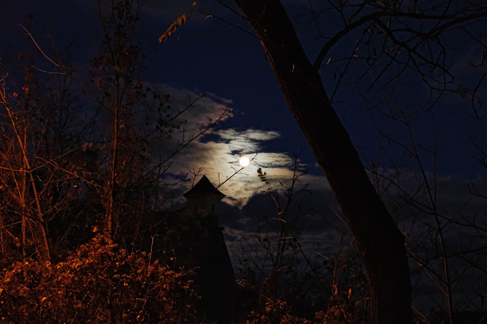 Der Mond "hängt" im Baum...