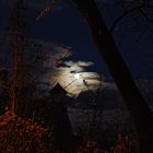 Der Mond "hängt" im Baum...