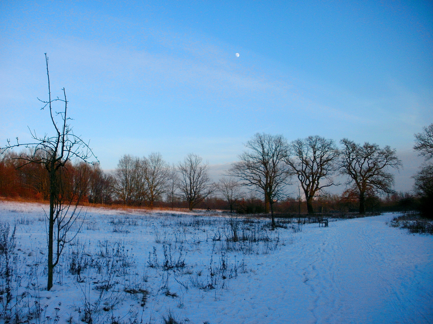 Der Mond im blauen Himmel