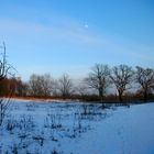 Der Mond im blauen Himmel