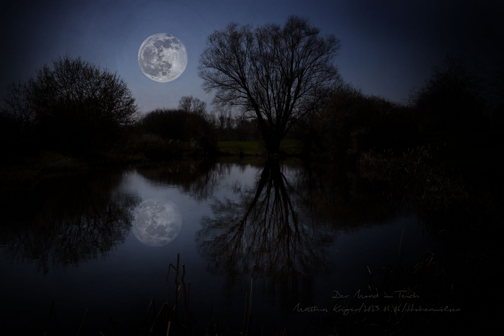 Der Mond im Teich