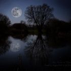 Der Mond im Teich