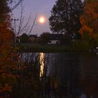 der mond im teich