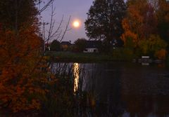 der mond im teich