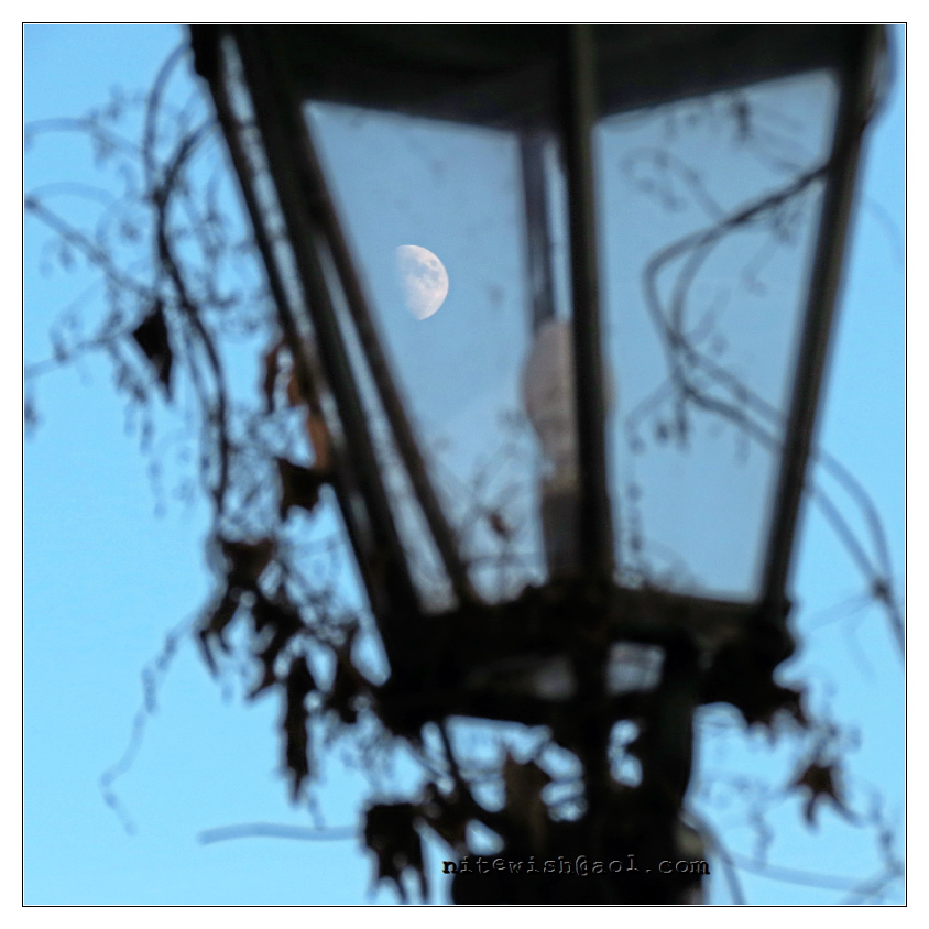 Der Mond in der Lampe