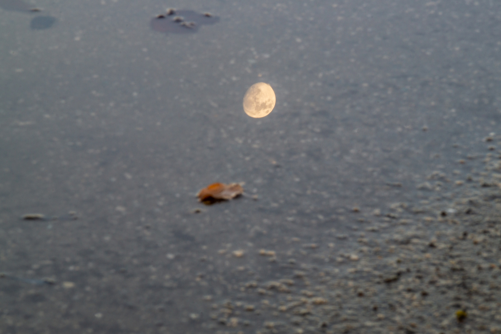 Der Mond in der Pfütze