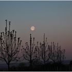 Der Mond in Morgendämmerung 