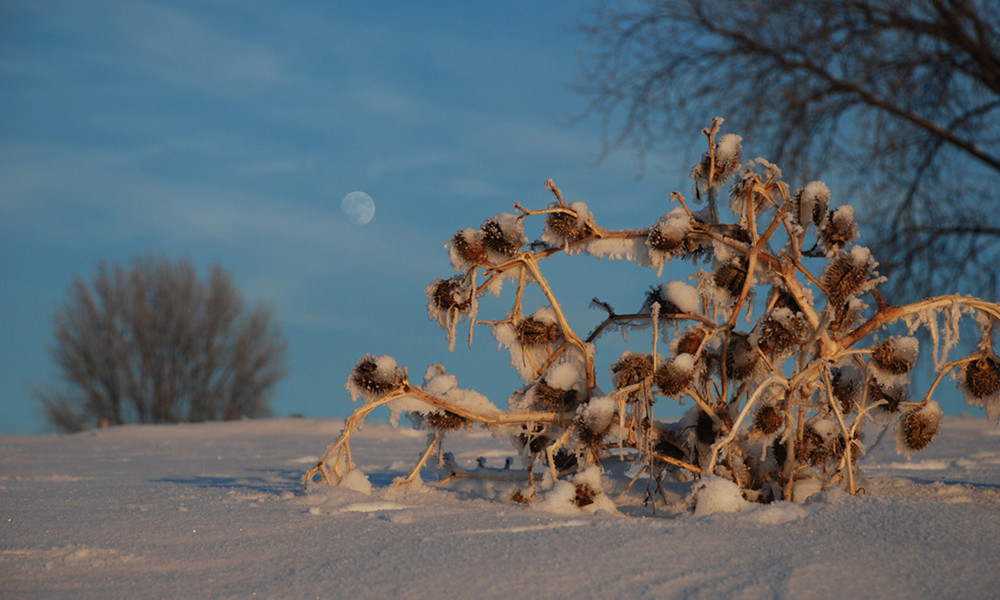 Der Mond is aufgegangen