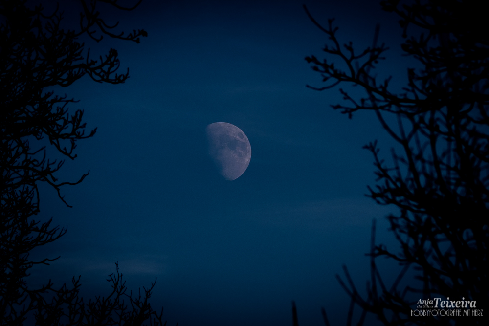 Der Mond ist auf gegangen....