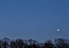 Der Mond ist aufgegangen